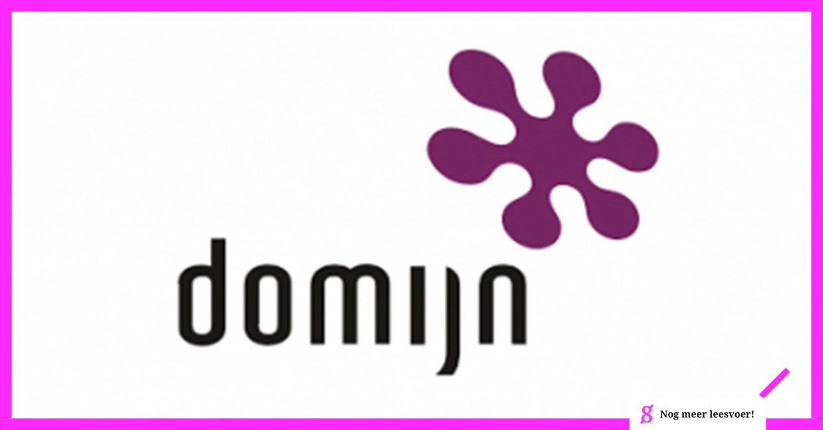 Domijn logo referentie effectief vergaderen